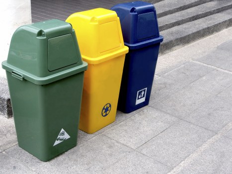 Professional waste removal team managing business waste